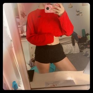 Long sleeved cropped swearer